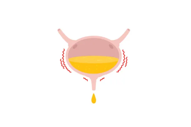 Conservative surgery for uterine prolapse and incontinence