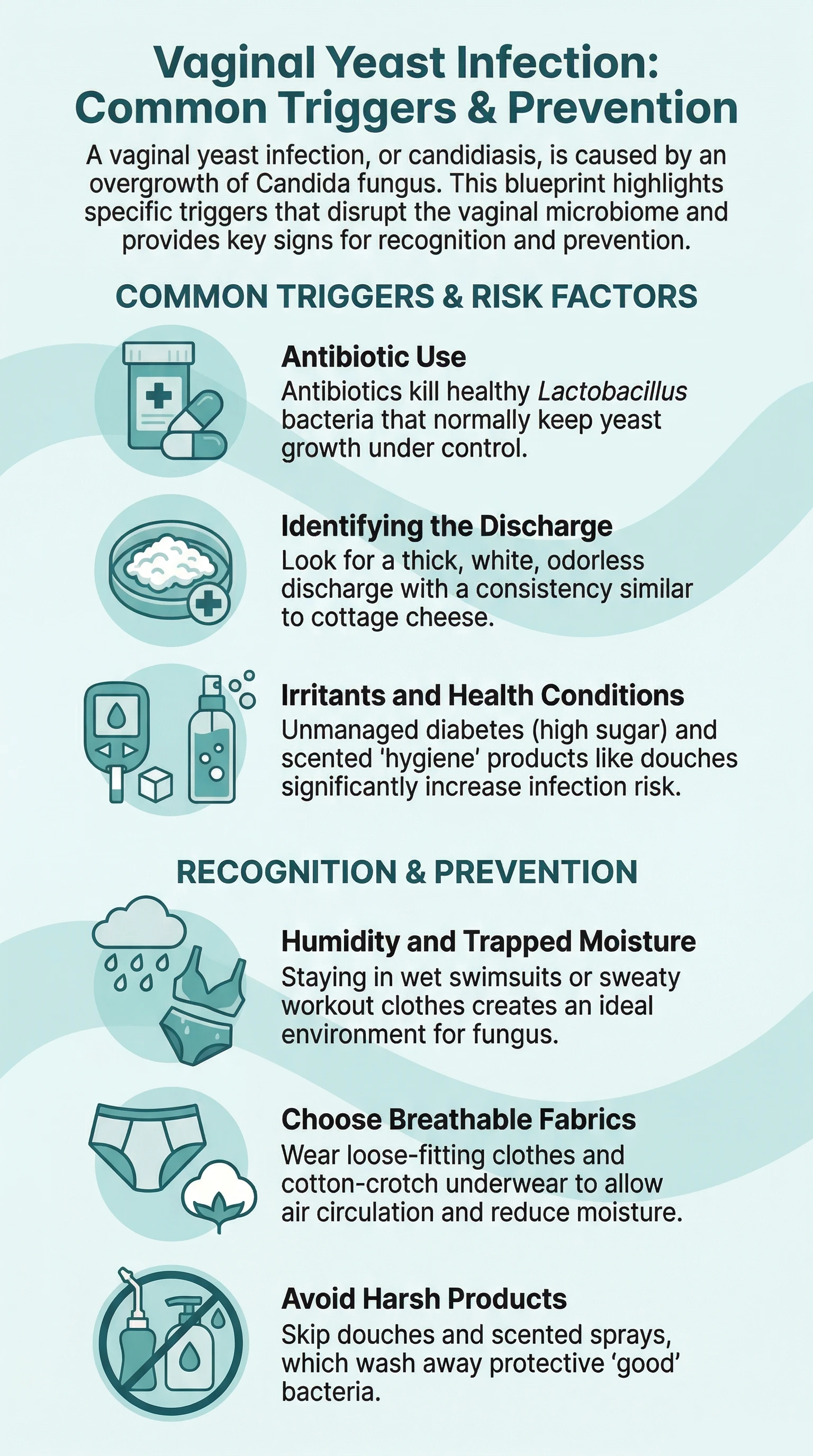 Vaginal yeast infection common triggers and prevention infographic