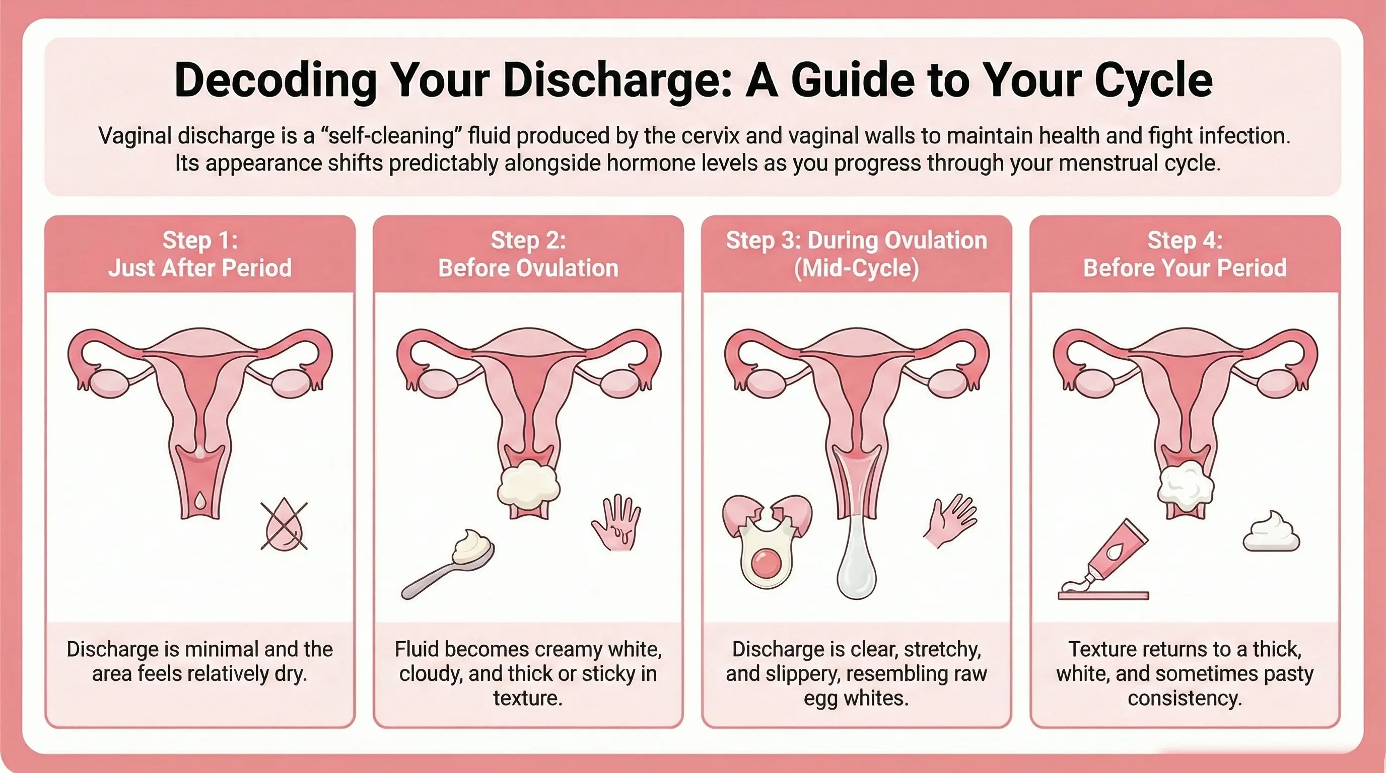 Types of vaginal discharge during menstrual cycle