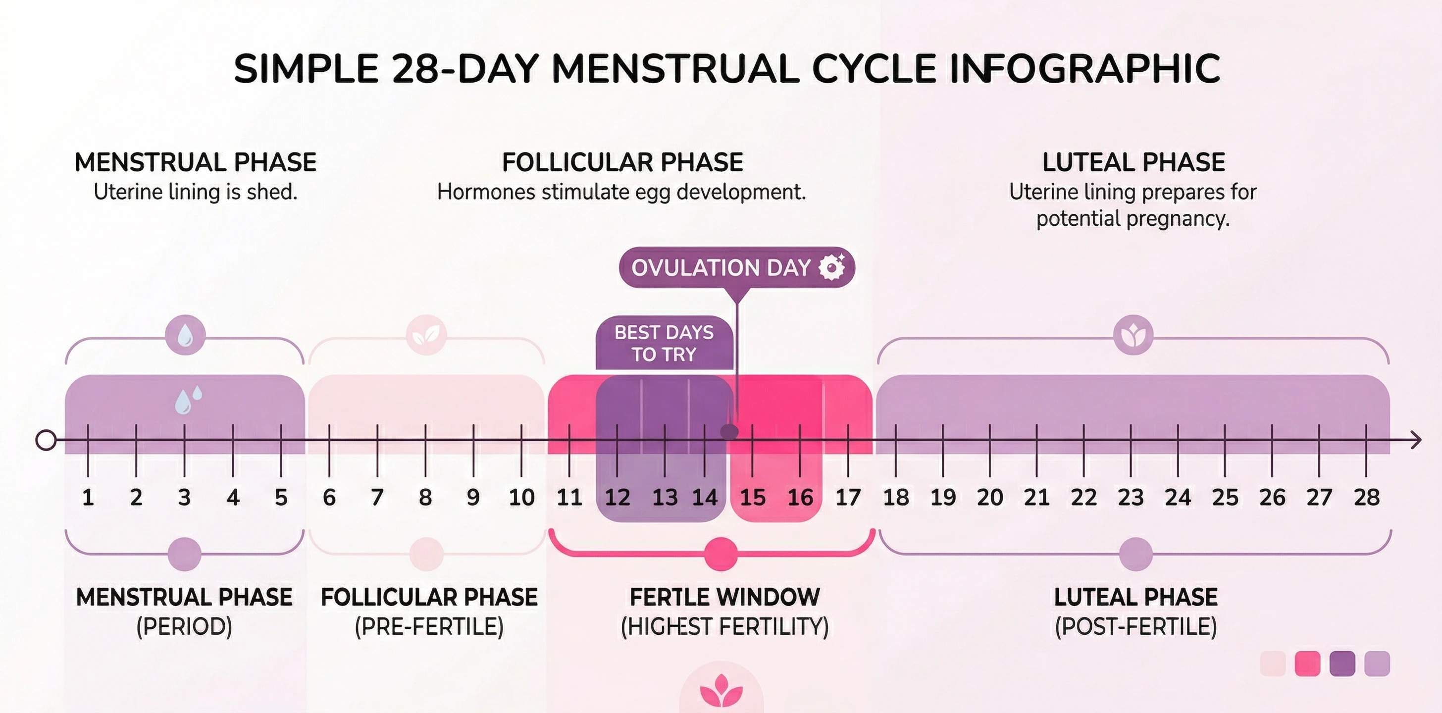 Fertile window within the menstrual cycle